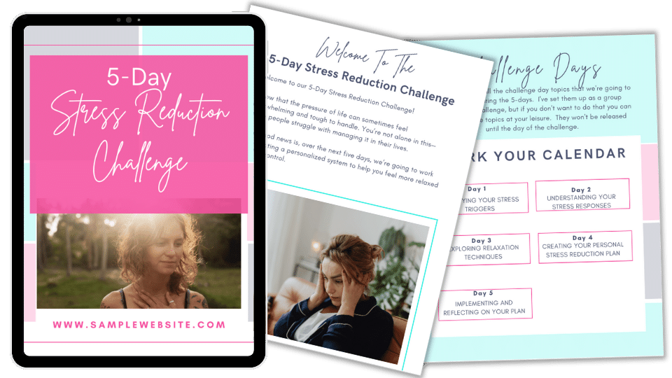 Stress Reduction Challenge PLR – Editable Canva Template + 5-Day Email Content